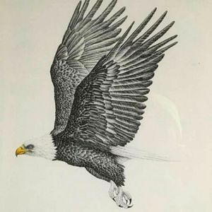 James P. Townsend Original Eagle drawing